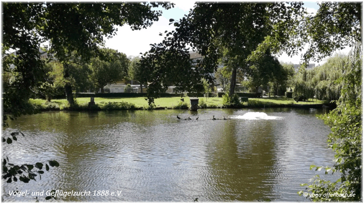 Bild des Monats von Yoga-Offenbach in Offenbach